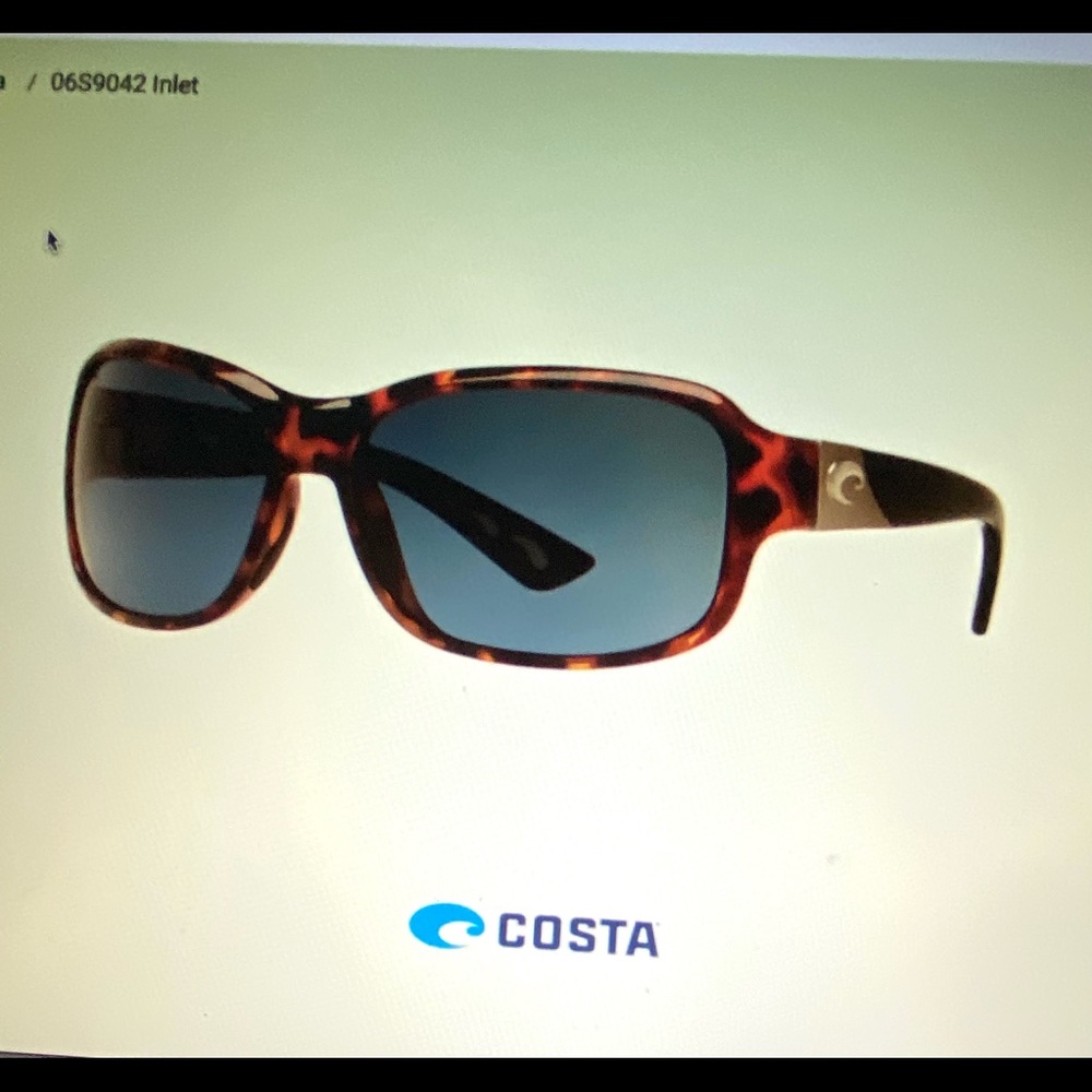 Costa Tortoise/Gray/Polarized